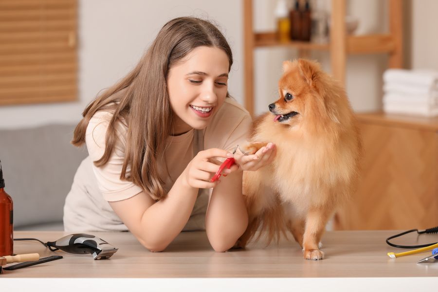 Nail Trims at Rick's Mobile Dog Grooming
